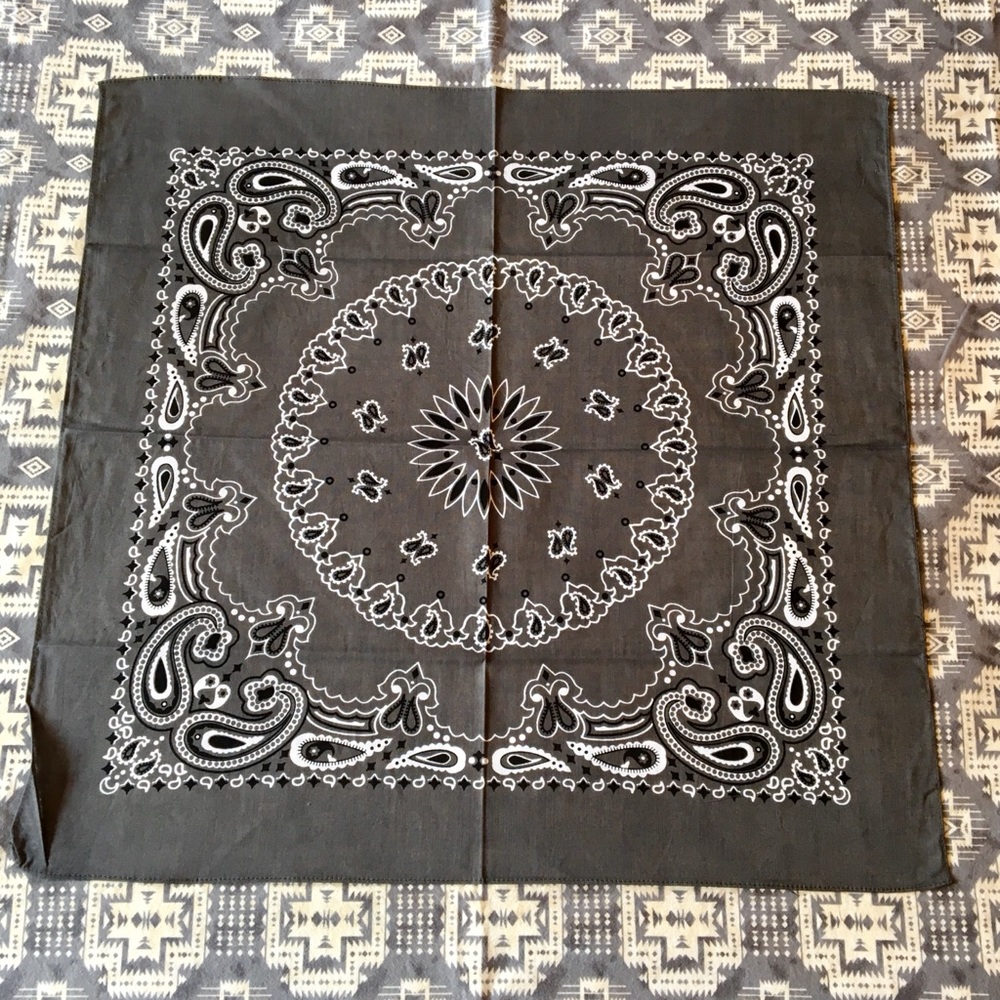 NWOT Gray bandana
